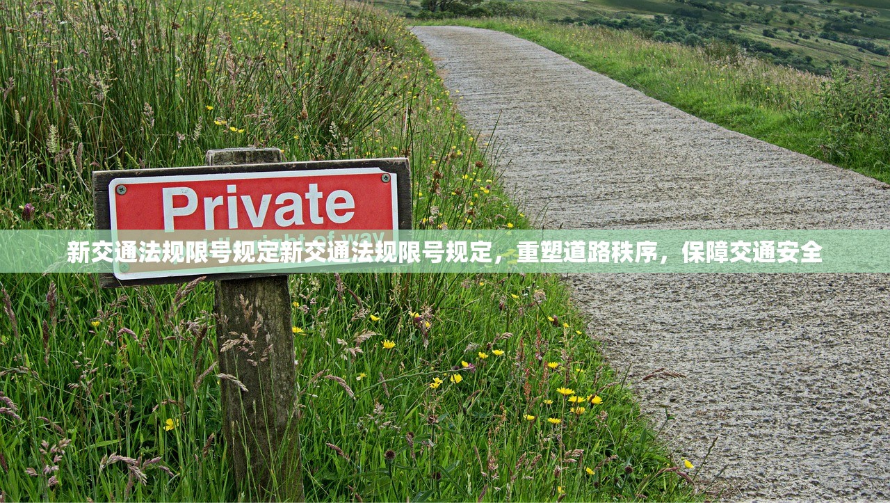 新交通法规限号规定新交通法规限号规定，重塑道路秩序，保障交通安全  第1张