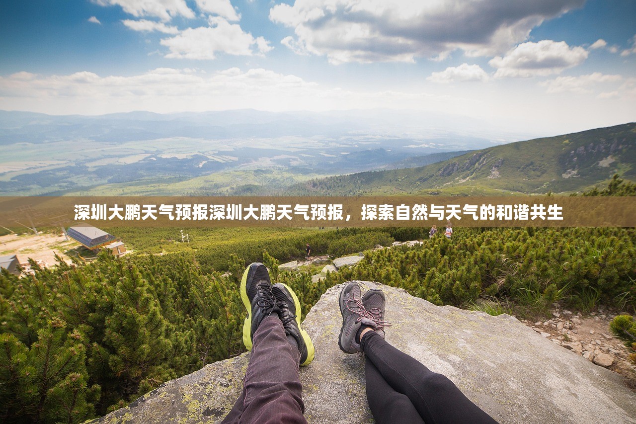 深圳大鹏天气预报深圳大鹏天气预报，探索自然与天气的和谐共生  第1张