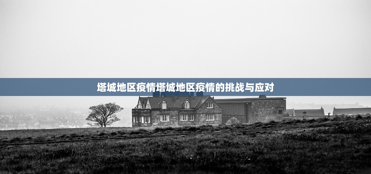 塔城地区疫情塔城地区疫情的挑战与应对  第1张