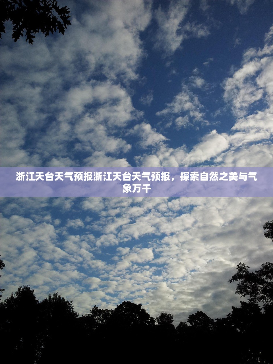 浙江天台天气预报浙江天台天气预报，探索自然之美与气象万千  第1张