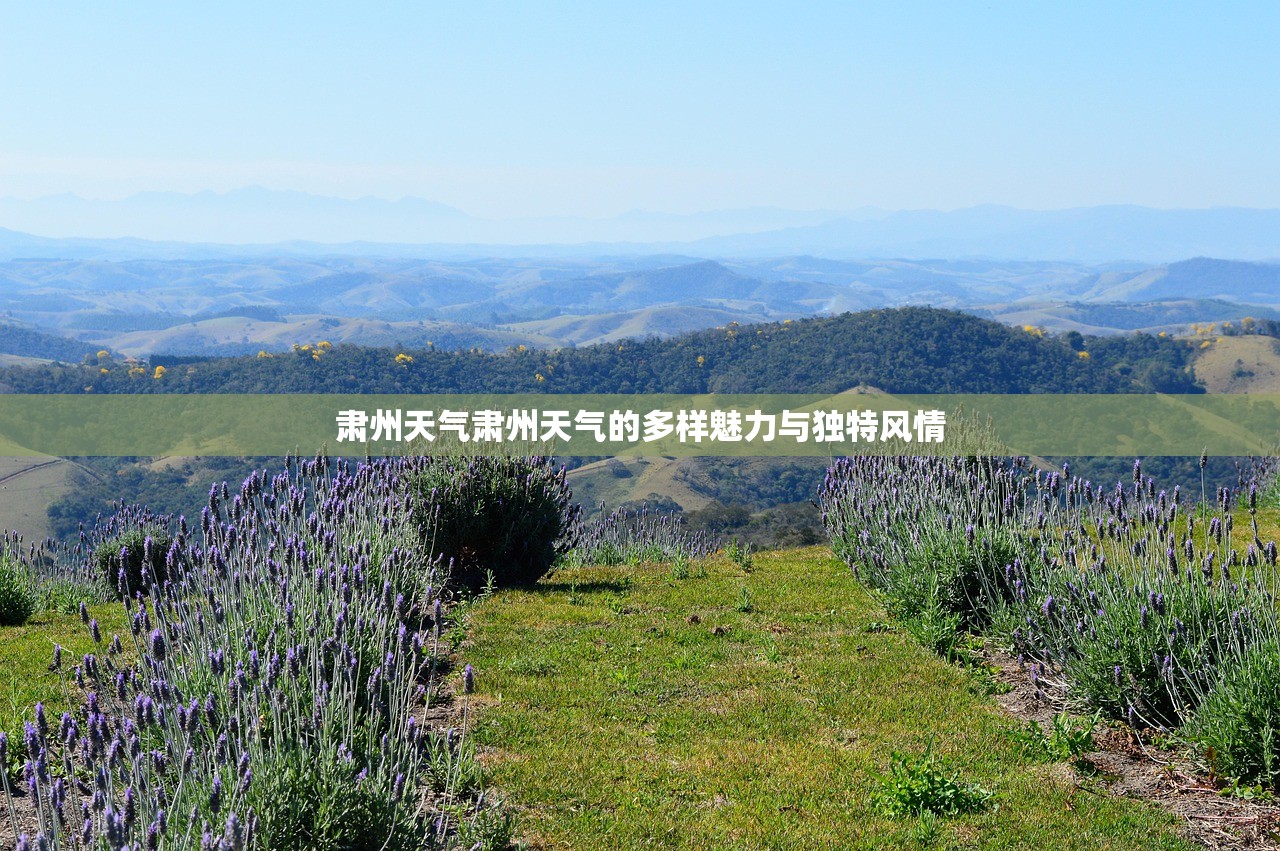 肃州天气肃州天气的多样魅力与独特风情  第1张