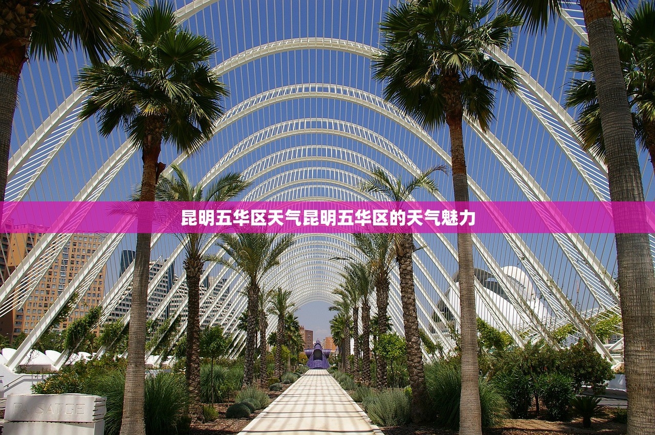 昆明五华区天气昆明五华区的天气魅力  第1张