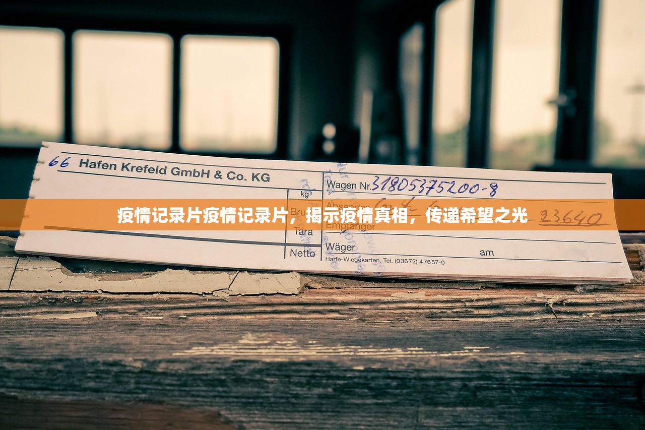 疫情记录片疫情记录片，揭示疫情真相，传递希望之光  第1张