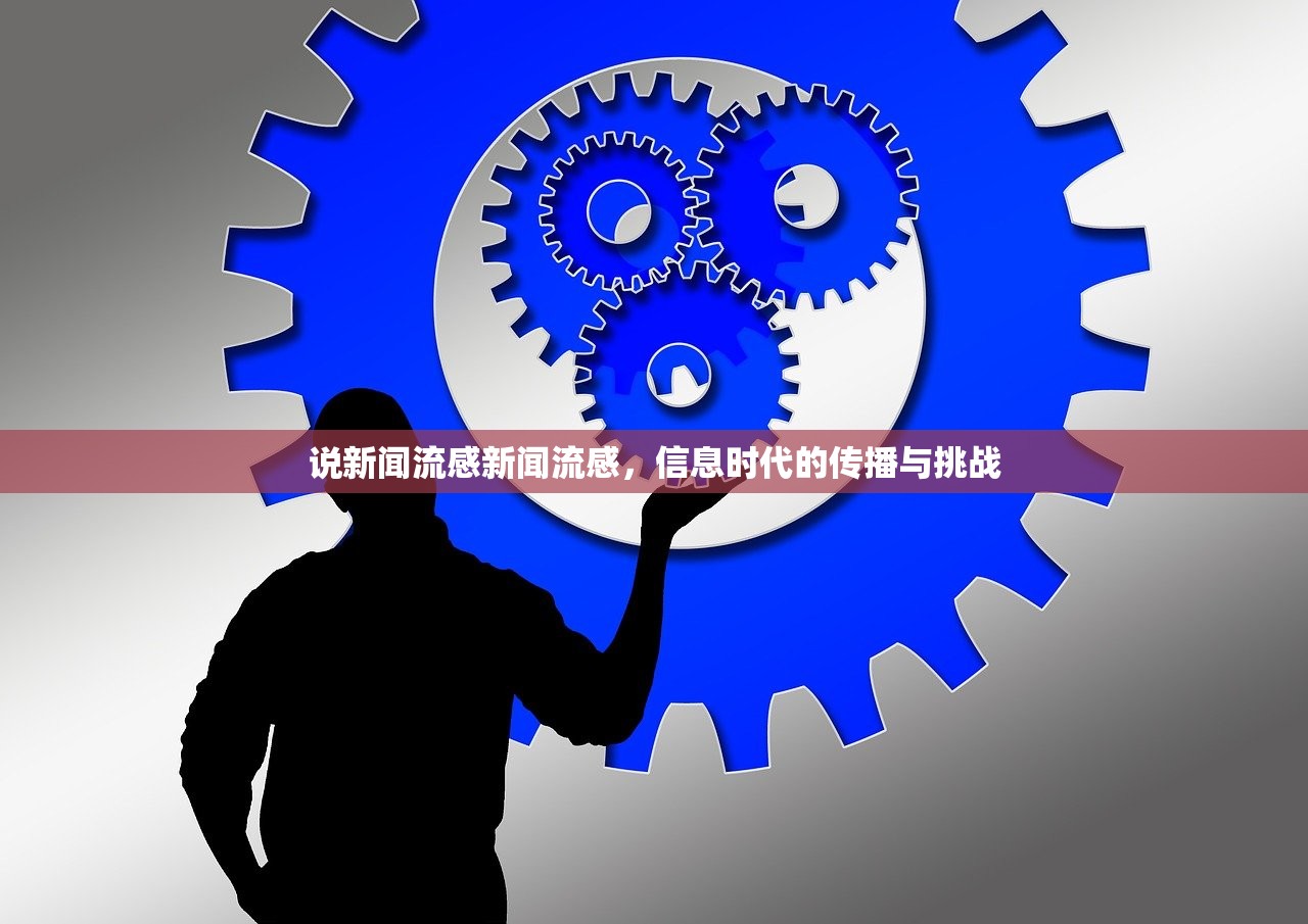说新闻流感新闻流感，信息时代的传播与挑战  第1张