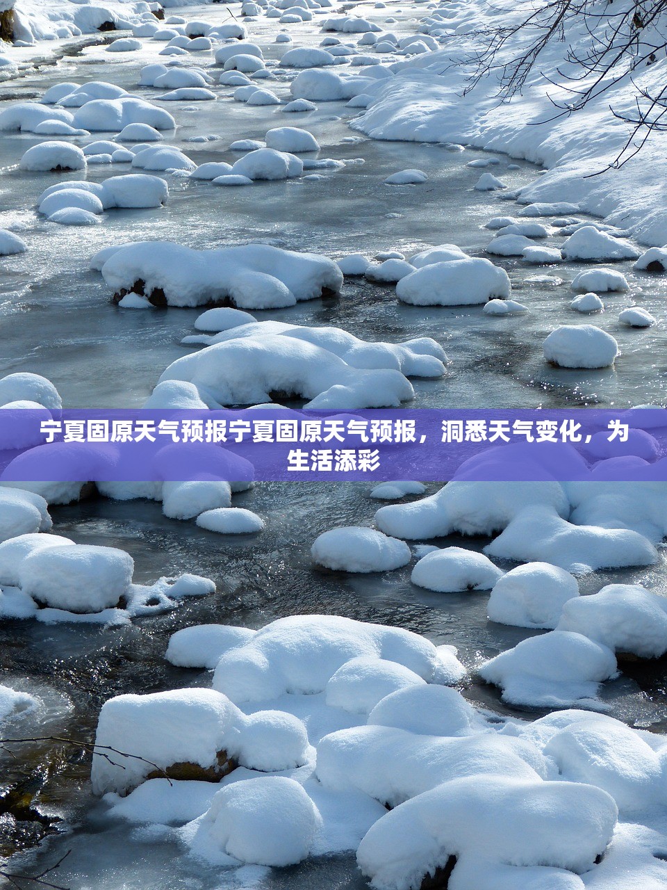 宁夏固原天气预报宁夏固原天气预报，洞悉天气变化，为生活添彩  第1张
