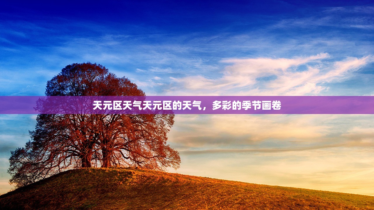 天元区天气天元区的天气，多彩的季节画卷  第1张