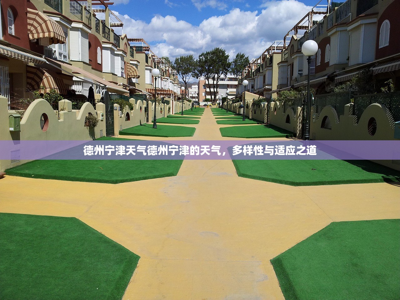 德州宁津天气德州宁津的天气，多样性与适应之道  第1张
