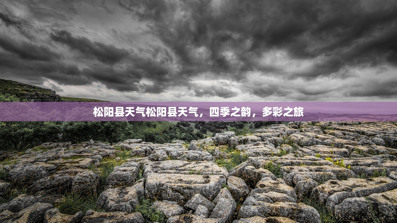 松阳县天气松阳县天气，四季之韵，多彩之旅  第1张