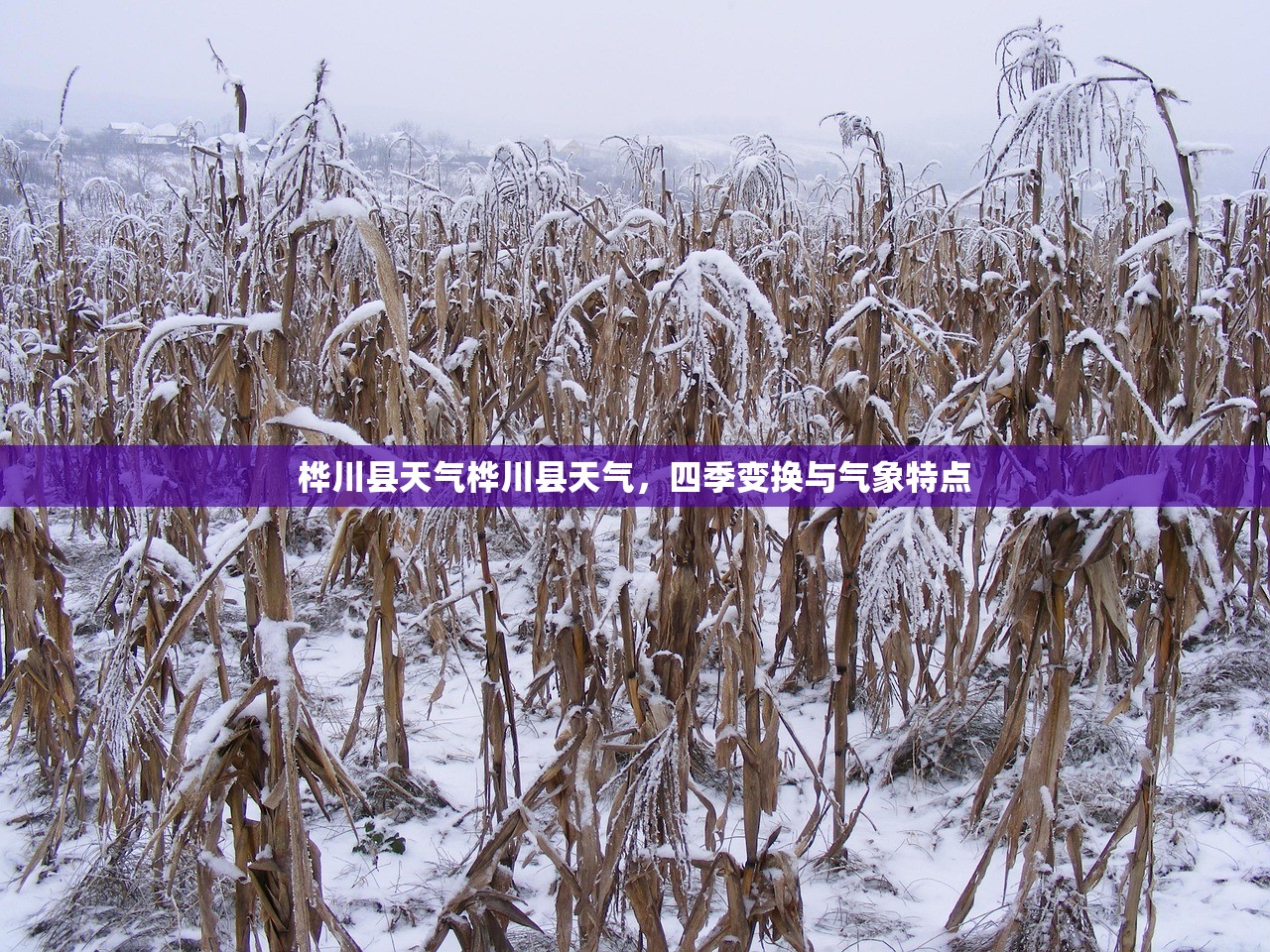 桦川县天气桦川县天气，四季变换与气象特点  第1张