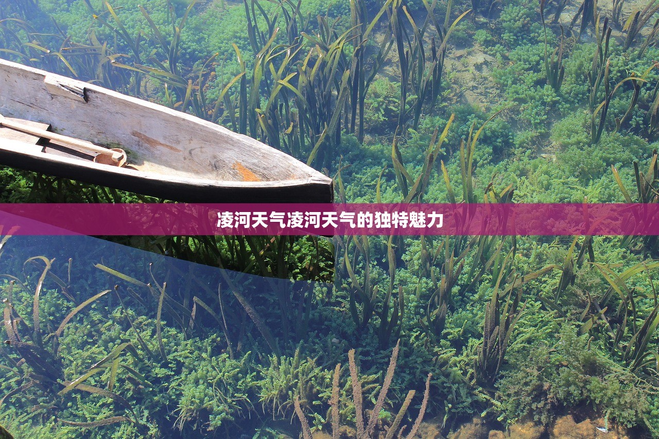 凌河天气凌河天气的独特魅力  第1张
