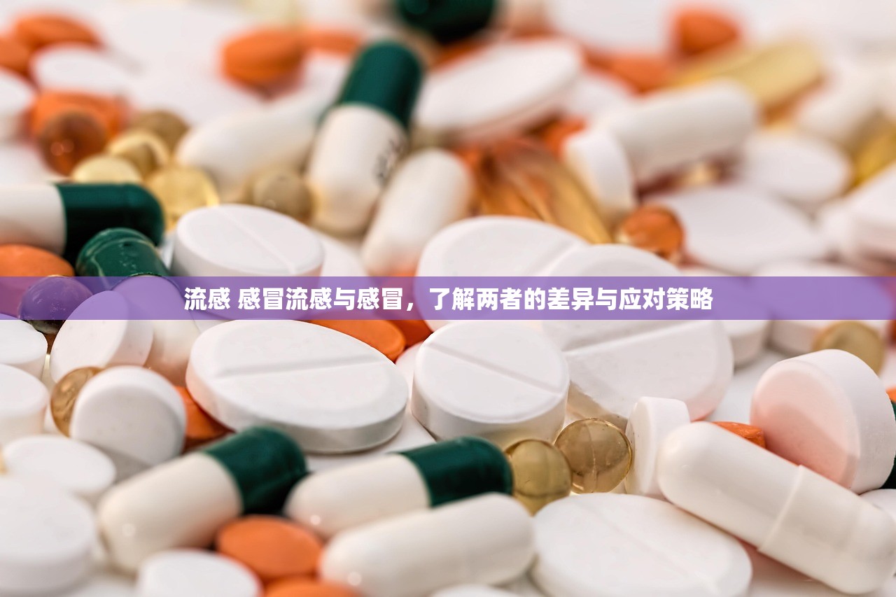 流感 感冒流感与感冒，了解两者的差异与应对策略  第1张
