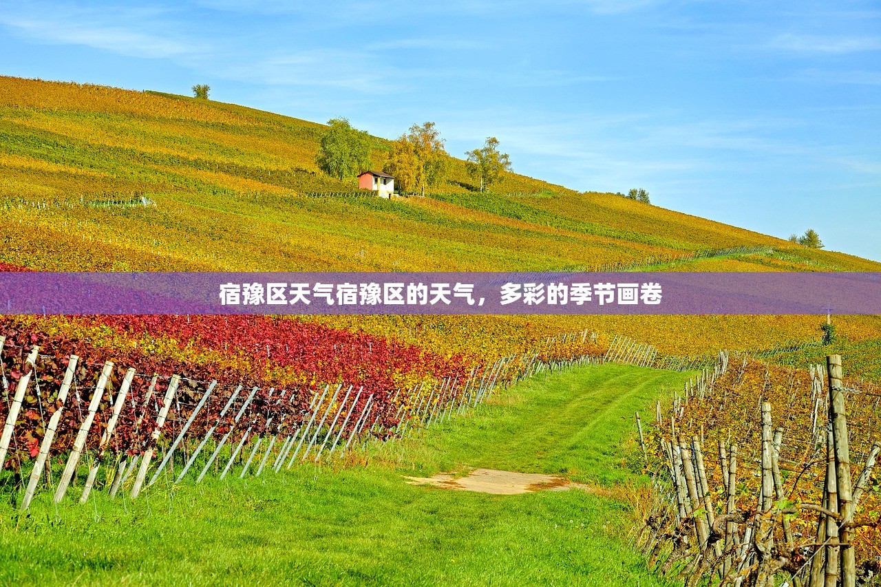 宿豫区天气宿豫区的天气，多彩的季节画卷  第1张