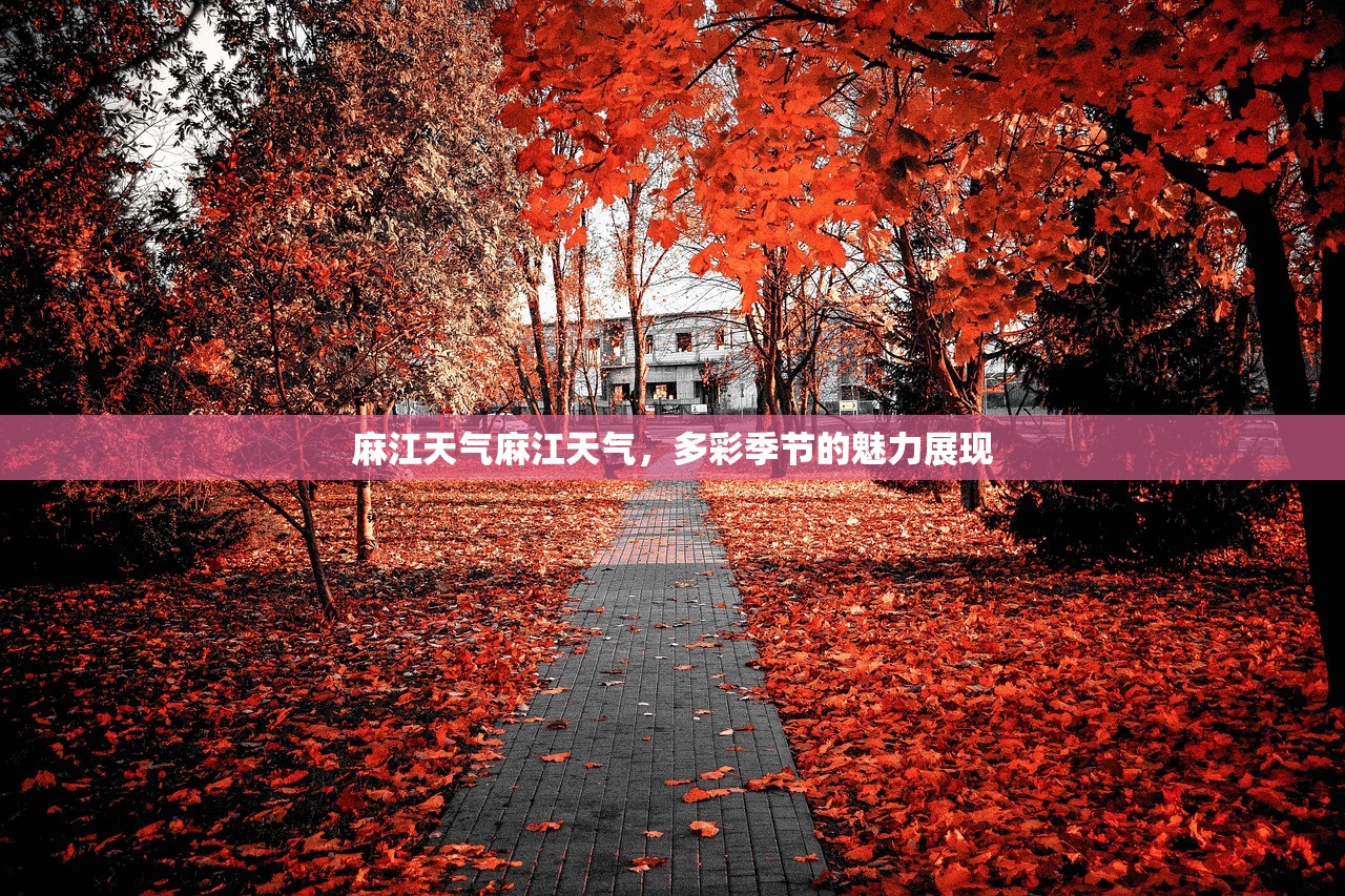 麻江天气麻江天气，多彩季节的魅力展现  第1张