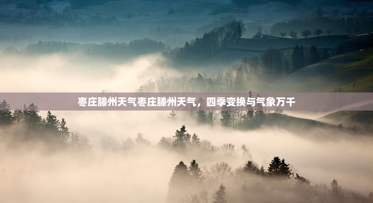 枣庄滕州天气枣庄滕州天气，四季变换与气象万千  第1张