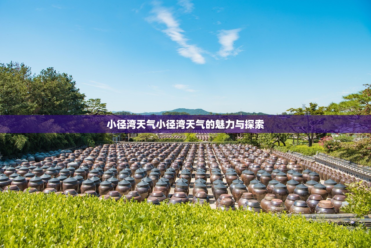 小径湾天气小径湾天气的魅力与探索  第1张