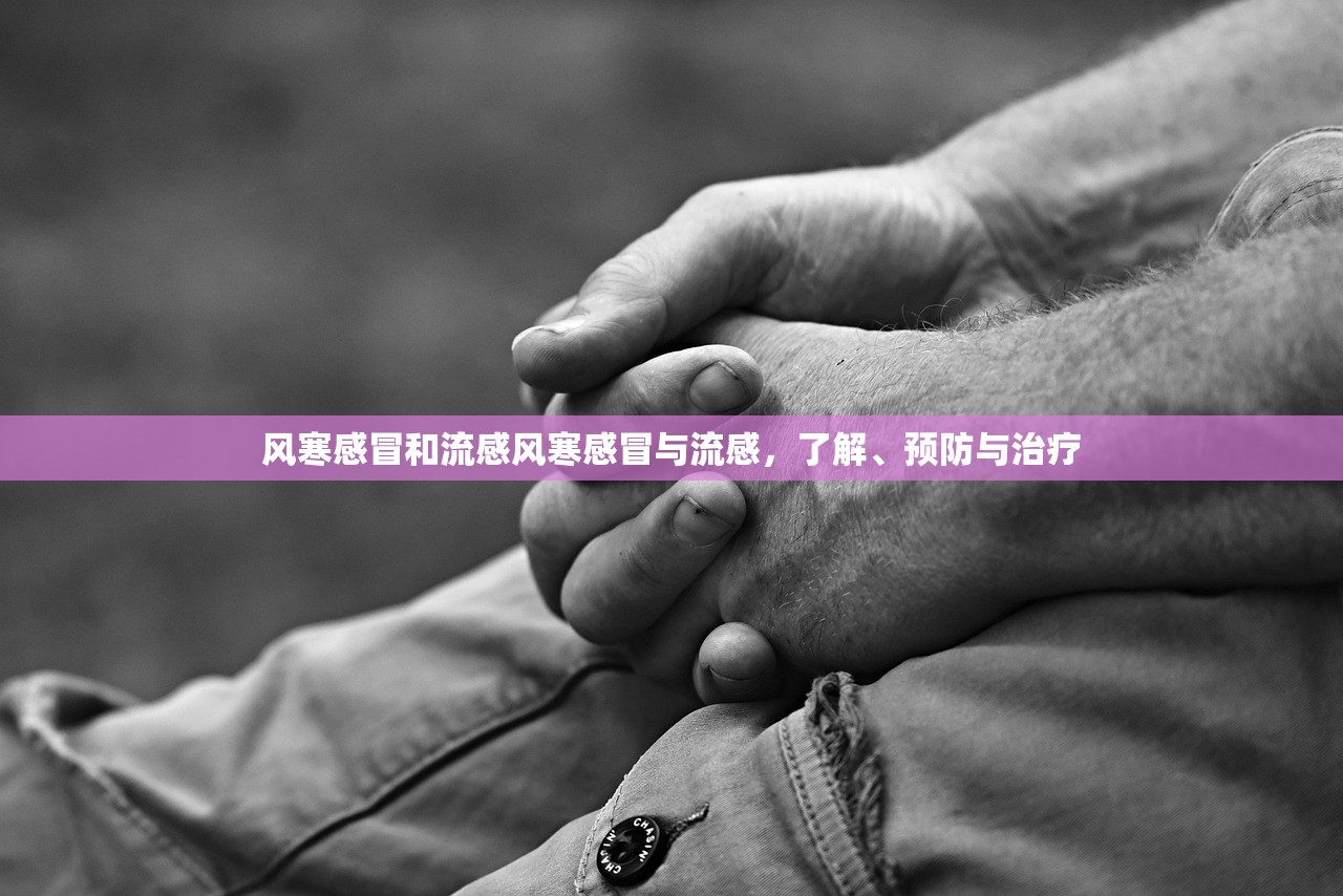 风寒感冒和流感风寒感冒与流感,了解、预防与治疗 第1张 风寒感冒和流感风寒感冒与流感,了解、预防与治疗 第1张