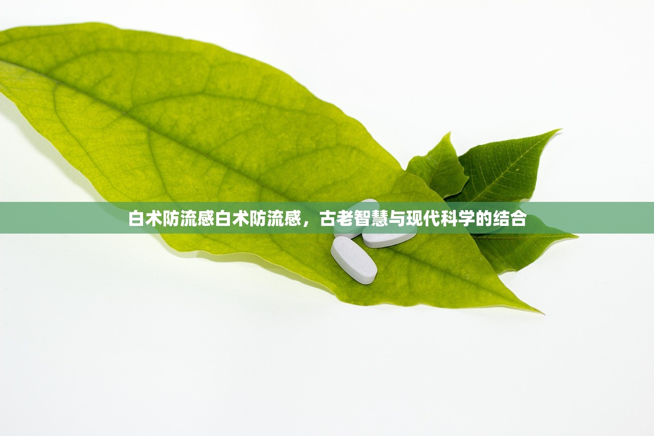 白术防流感白术防流感，古老智慧与现代科学的结合  第1张