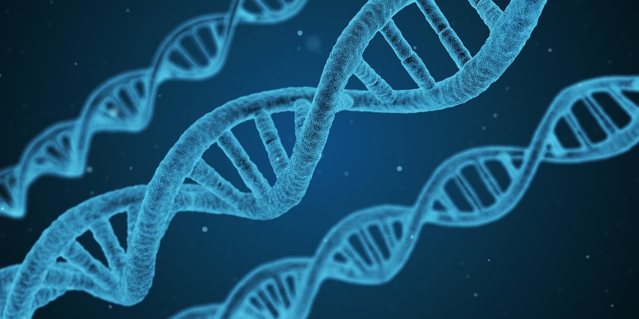 白术防流感白术防流感，古老智慧与现代科学的结合  第2张