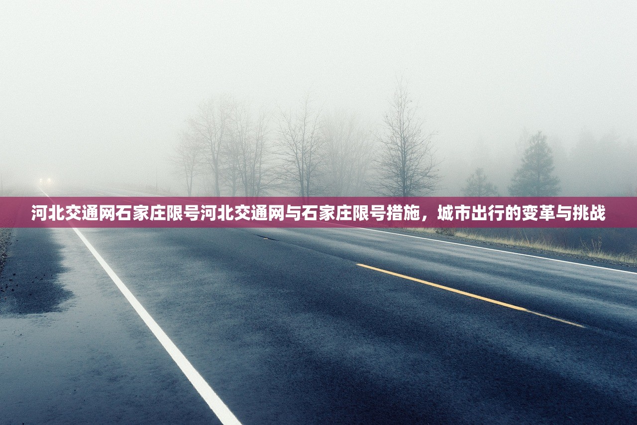 河北交通网石家庄限号河北交通网与石家庄限号措施，城市出行的变革与挑战  第1张