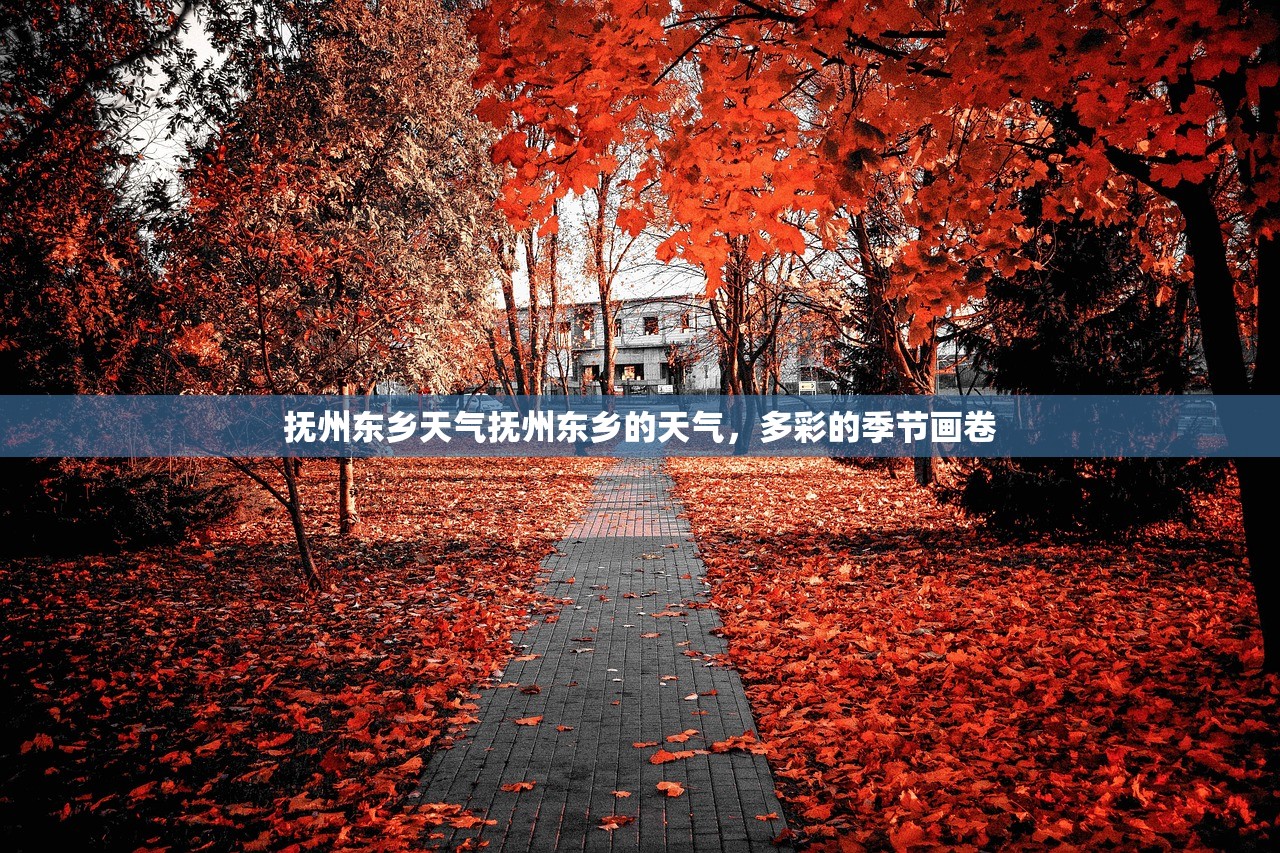 抚州东乡天气抚州东乡的天气，多彩的季节画卷  第1张