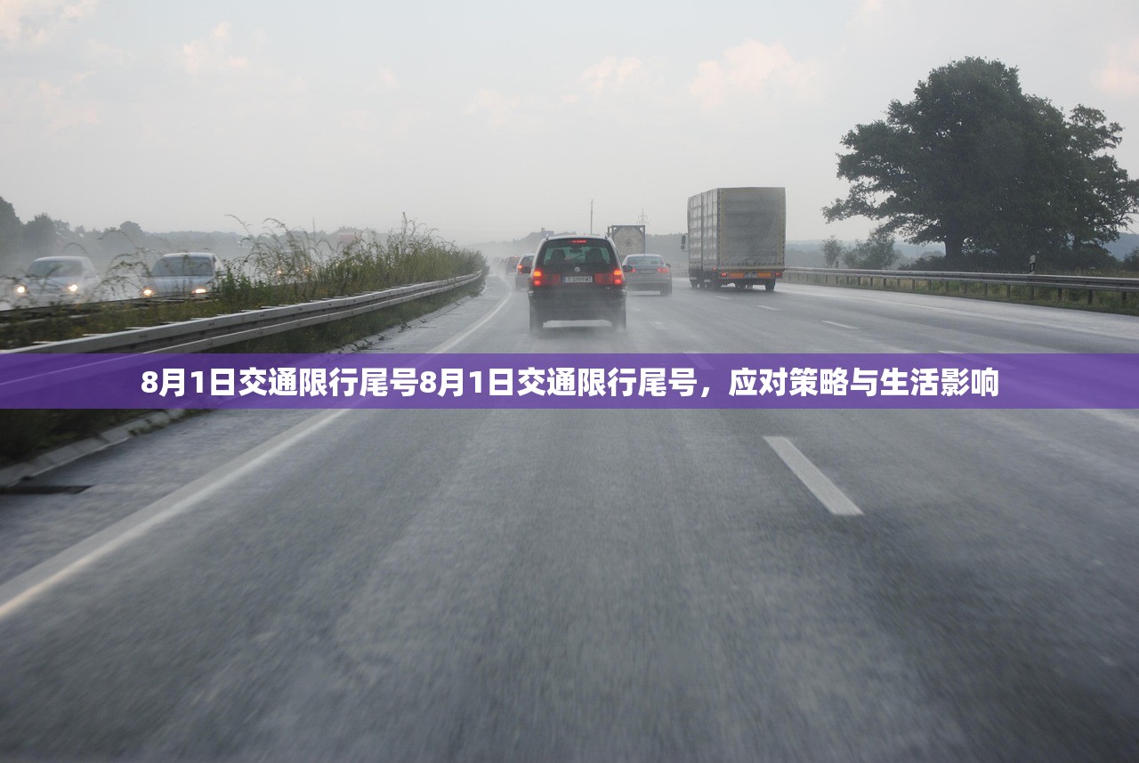 8月1日交通限行尾号8月1日交通限行尾号，应对策略与生活影响  第1张