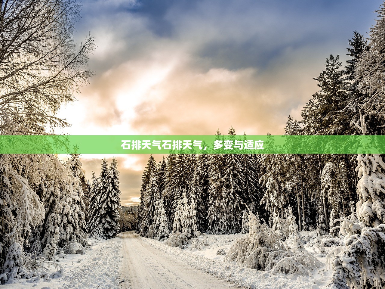 石排天气石排天气，多变与适应  第1张