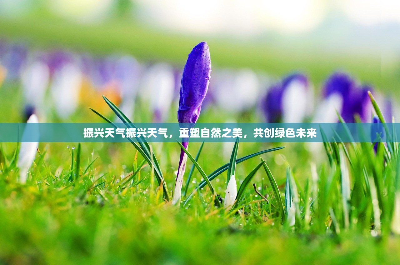 振兴天气振兴天气，重塑自然之美，共创绿色未来  第1张
