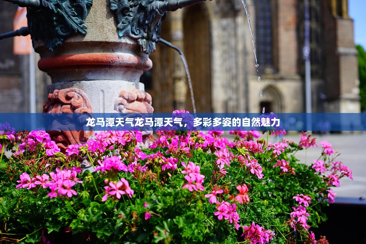 龙马潭天气龙马潭天气，多彩多姿的自然魅力  第1张