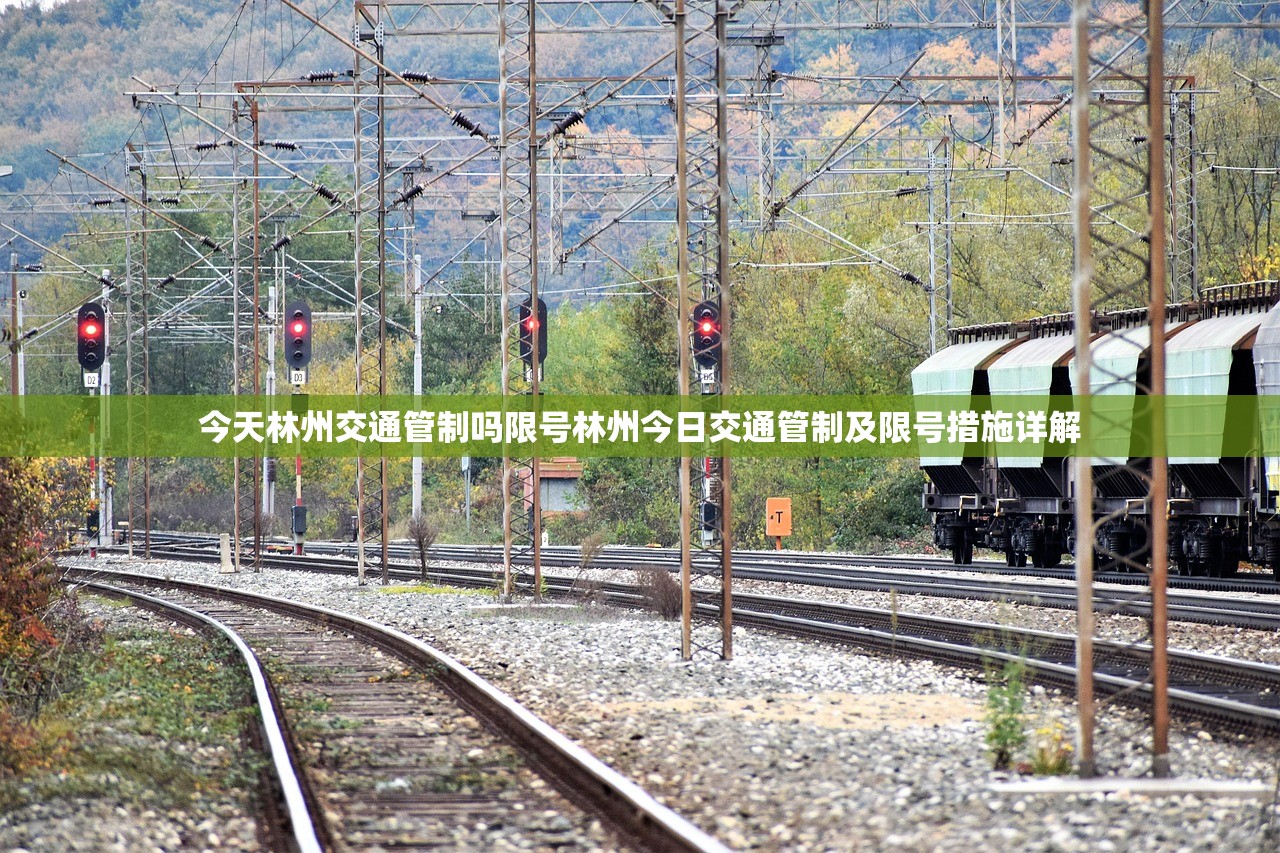 今天林州交通管制吗限号林州今日交通管制及限号措施详解  第1张