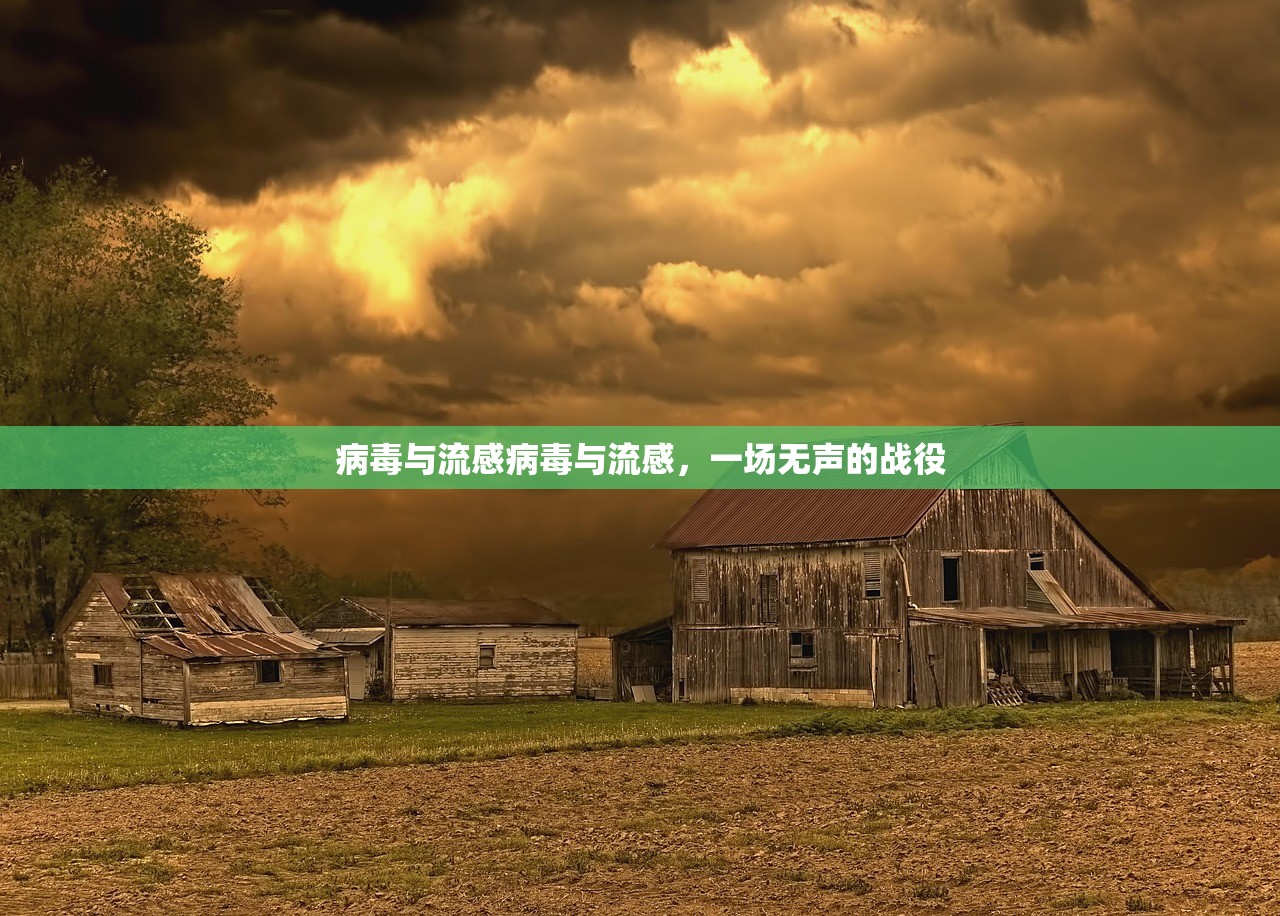 病毒与流感病毒与流感，一场无声的战役  第1张