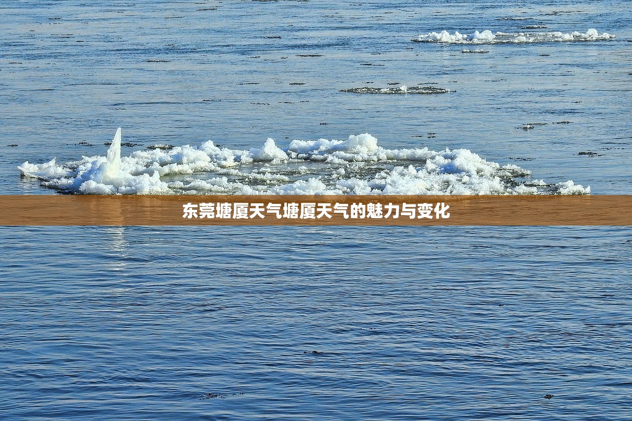 东莞塘厦天气塘厦天气的魅力与变化  第1张