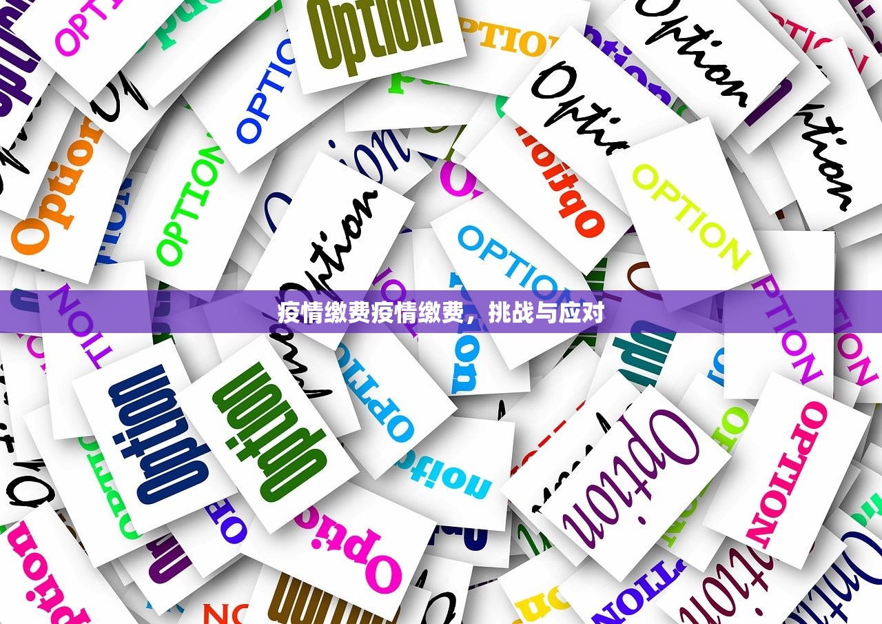 疫情缴费疫情缴费，挑战与应对  第1张