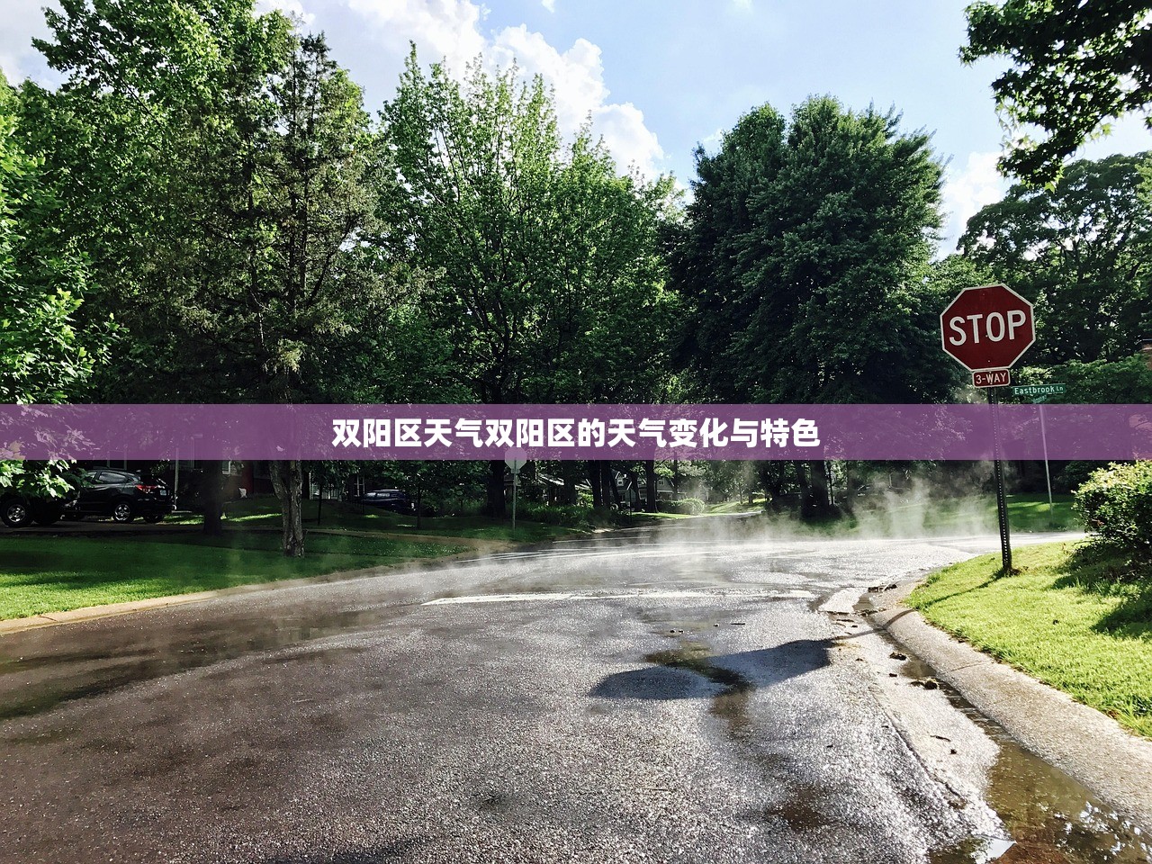 双阳区天气双阳区的天气变化与特色  第1张