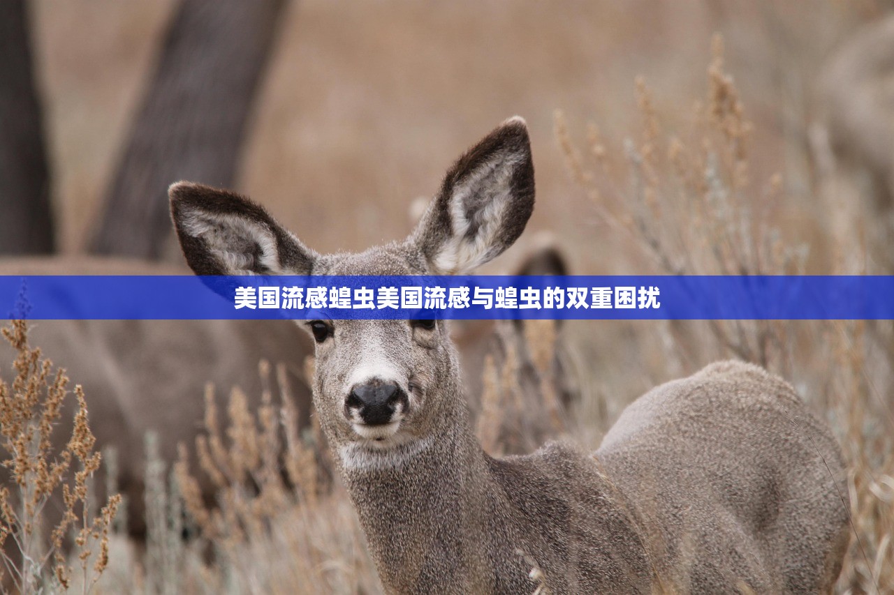 美国流感蝗虫美国流感与蝗虫的双重困扰  第1张