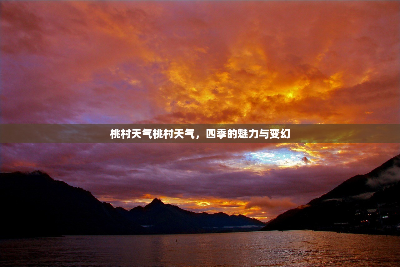 桃村天气桃村天气，四季的魅力与变幻  第1张