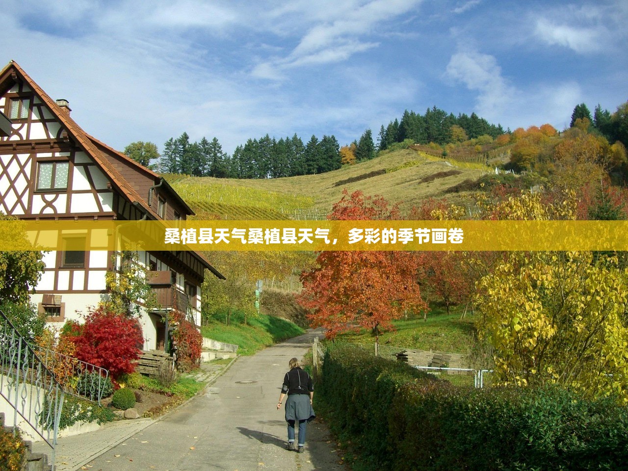 桑植县天气桑植县天气，多彩的季节画卷  第1张
