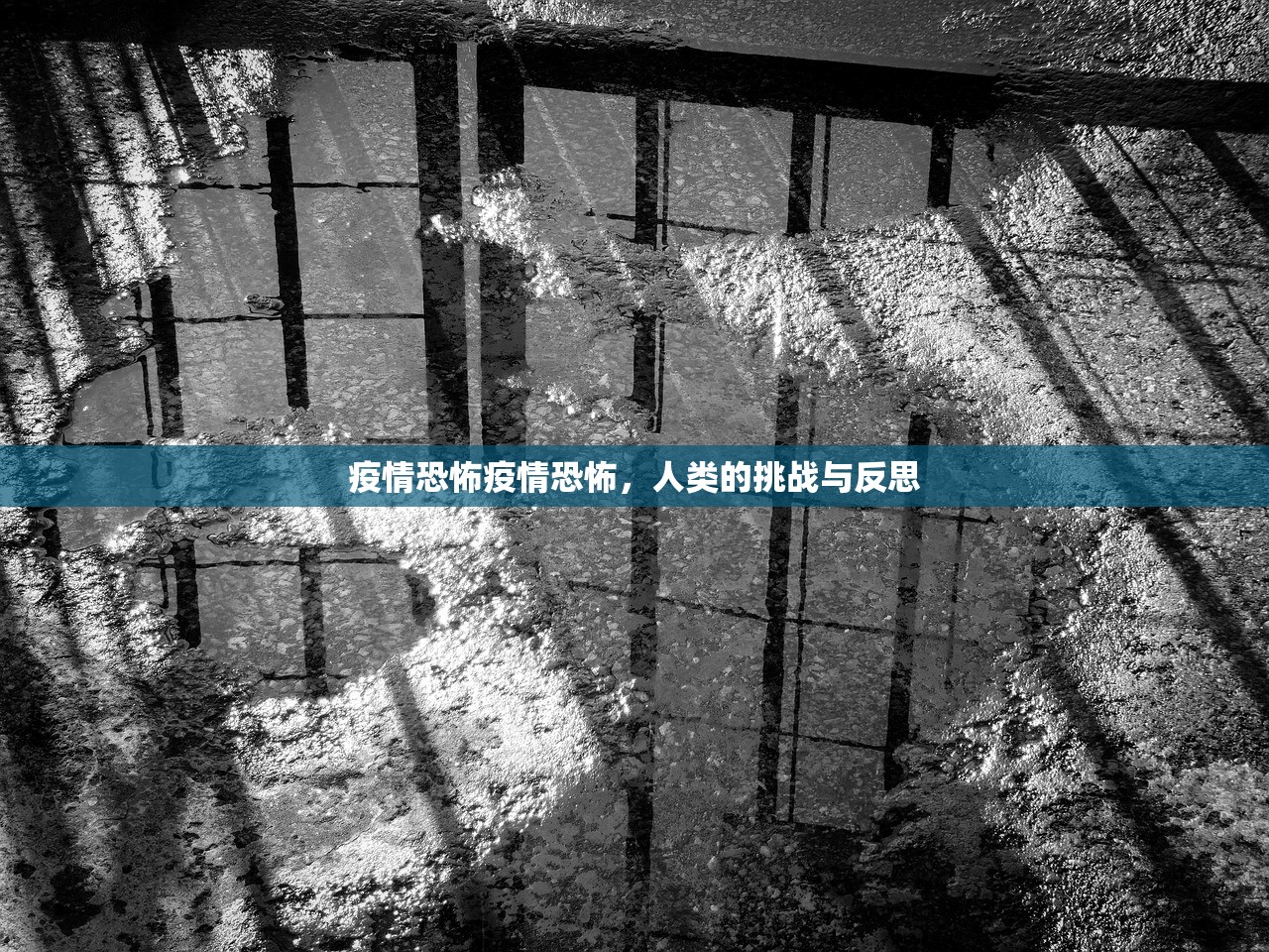 疫情恐怖疫情恐怖，人类的挑战与反思  第1张