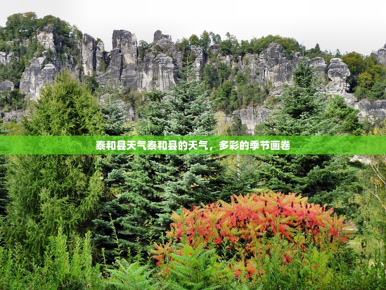 泰和县天气泰和县的天气，多彩的季节画卷  第1张