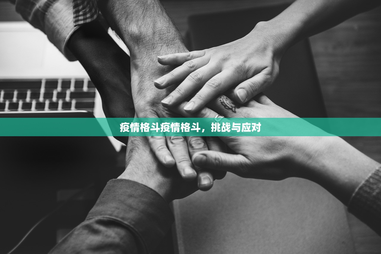 疫情格斗疫情格斗，挑战与应对  第1张
