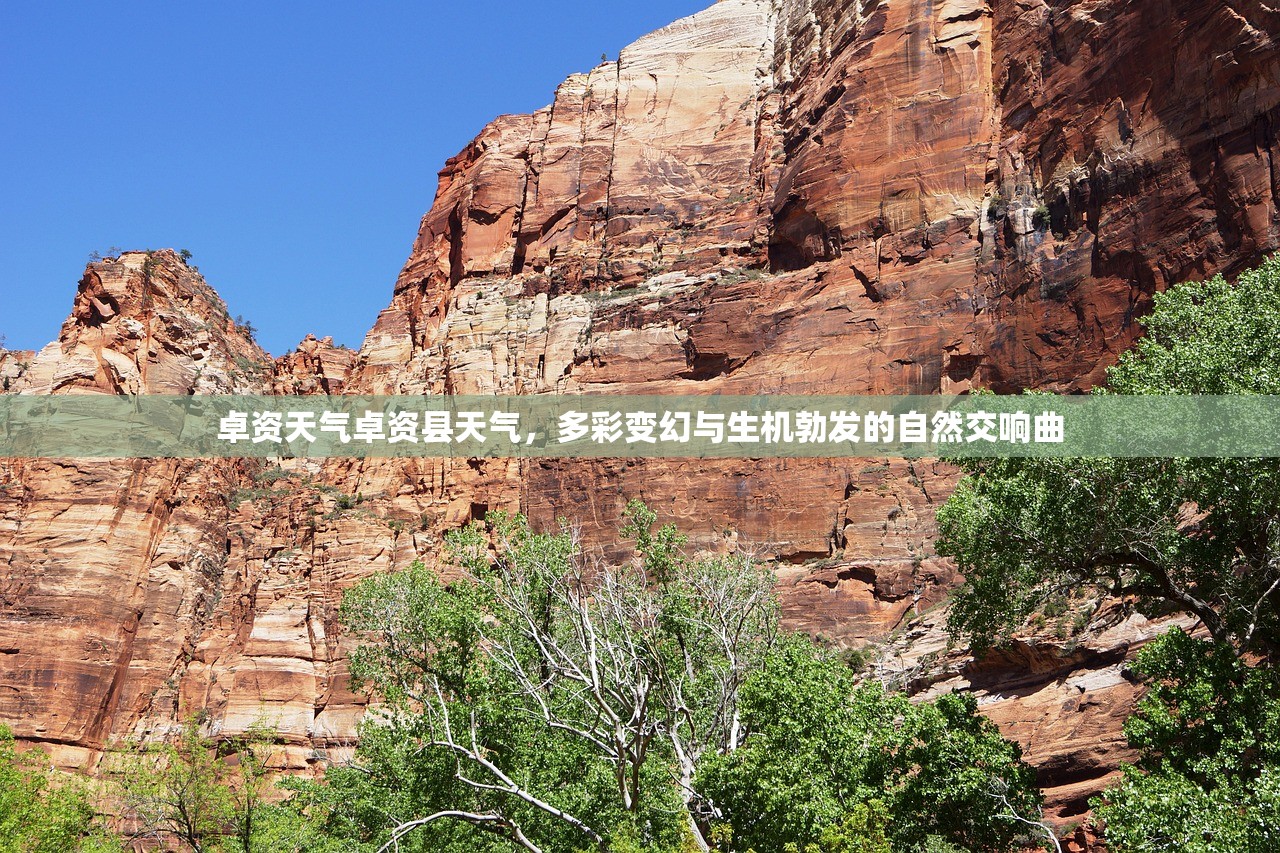 卓资天气卓资县天气，多彩变幻与生机勃发的自然交响曲  第1张