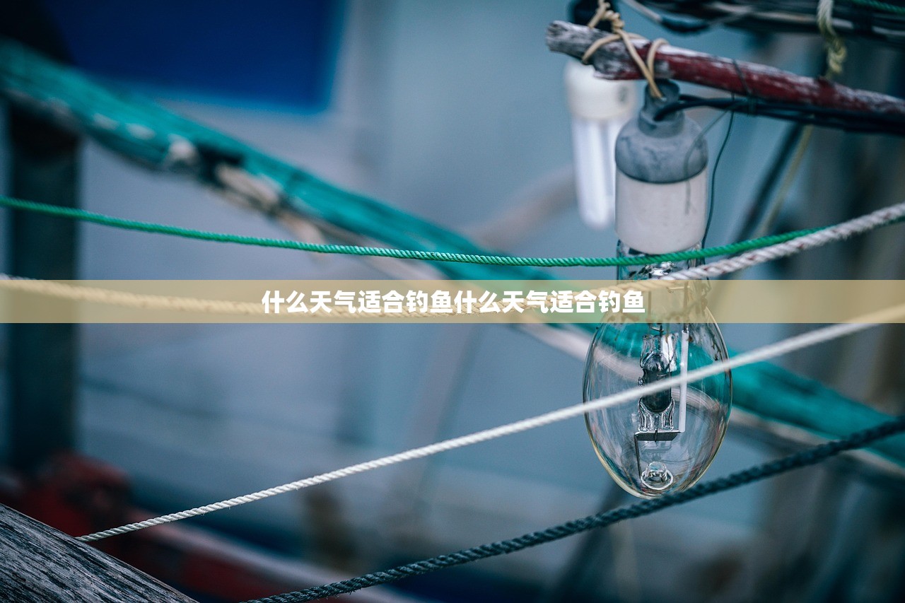 什么天气适合钓鱼什么天气适合钓鱼  第1张