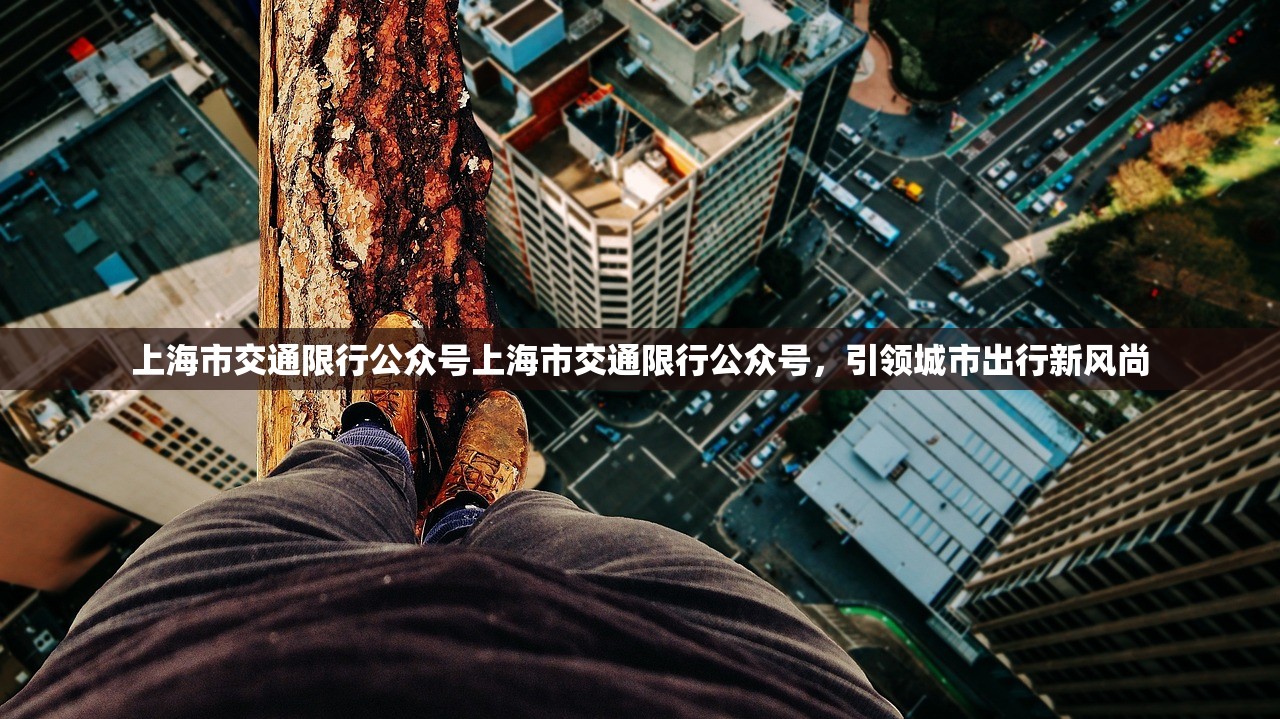 上海市交通限行公众号上海市交通限行公众号，引领城市出行新风尚  第1张