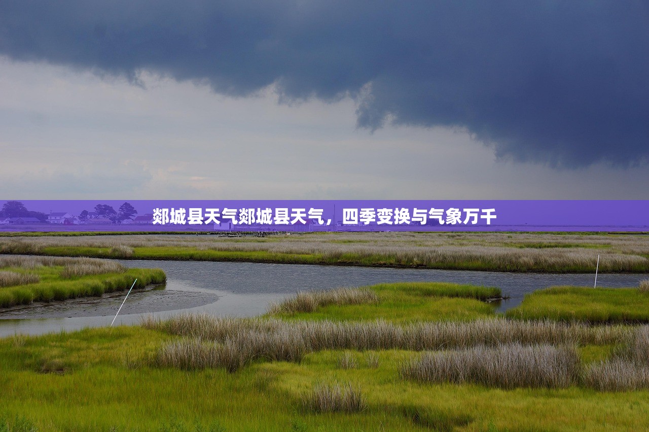 郯城县天气郯城县天气，四季变换与气象万千  第1张