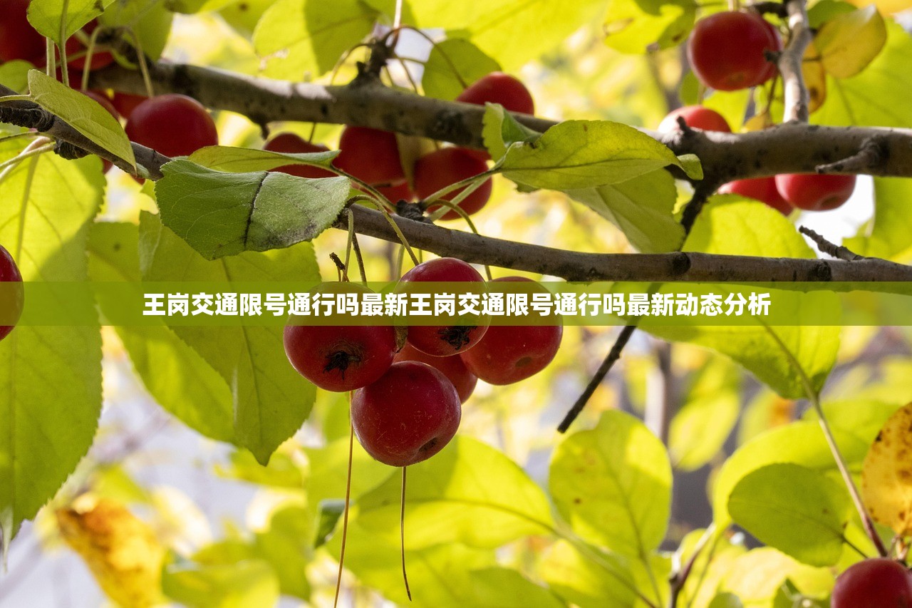 王岗交通限号通行吗最新王岗交通限号通行吗最新动态分析  第1张