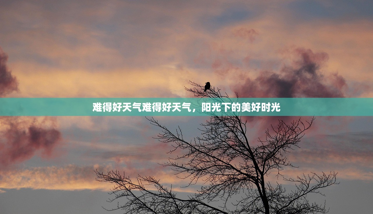 难得好天气难得好天气，阳光下的美好时光  第1张