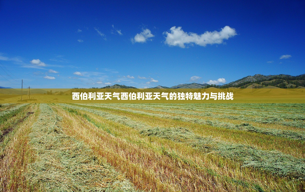 西伯利亚天气西伯利亚天气的独特魅力与挑战  第1张