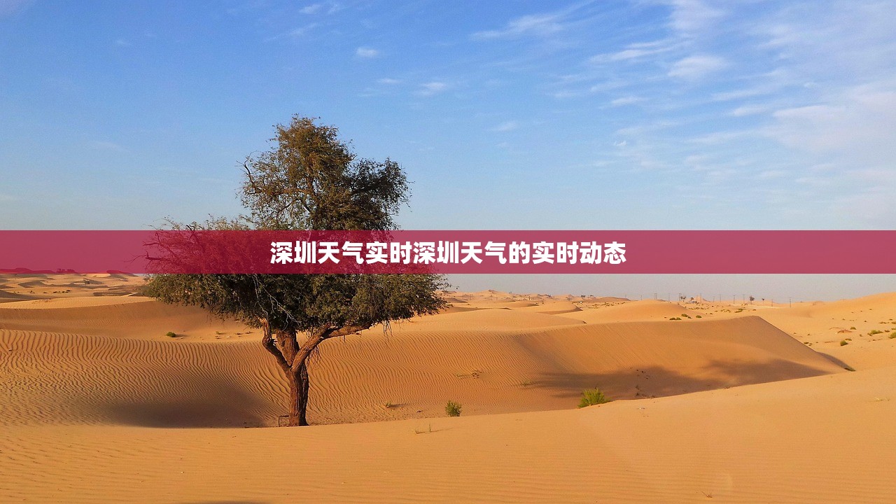 深圳天气实时深圳天气的实时动态  第1张