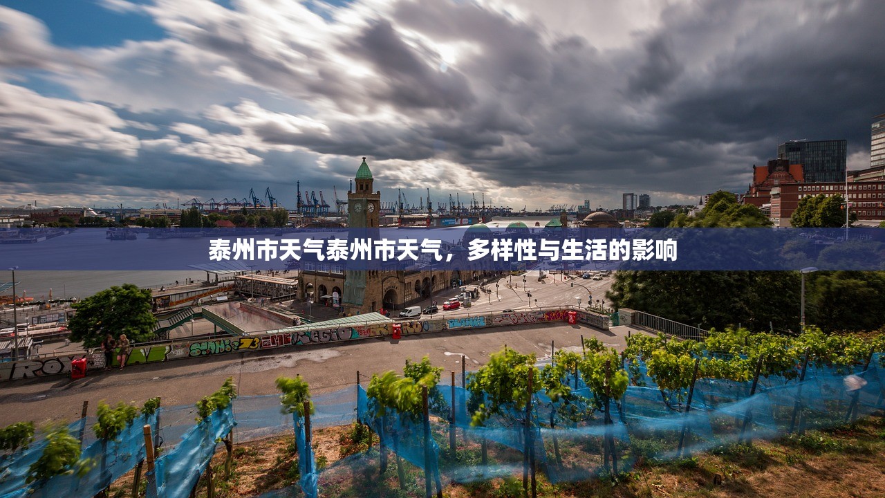 泰州市天气泰州市天气，多样性与生活的影响  第1张