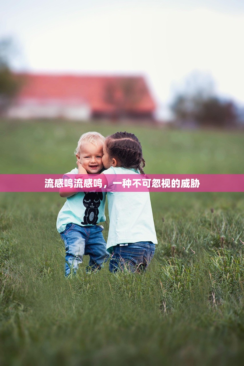 流感鸣流感鸣，一种不可忽视的威胁  第1张