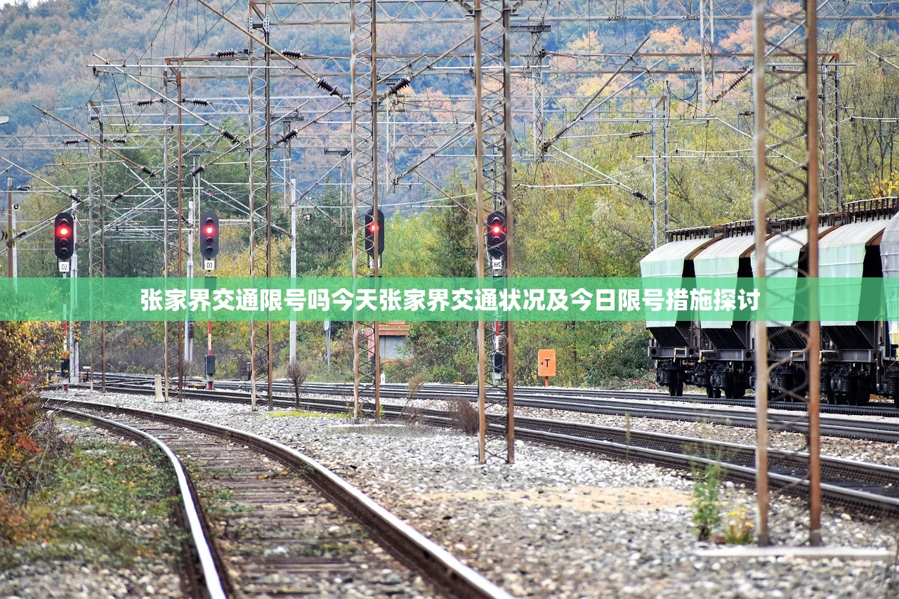 张家界交通限号吗今天张家界交通状况及今日限号措施探讨  第1张